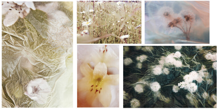 Under the Veil of Spring
